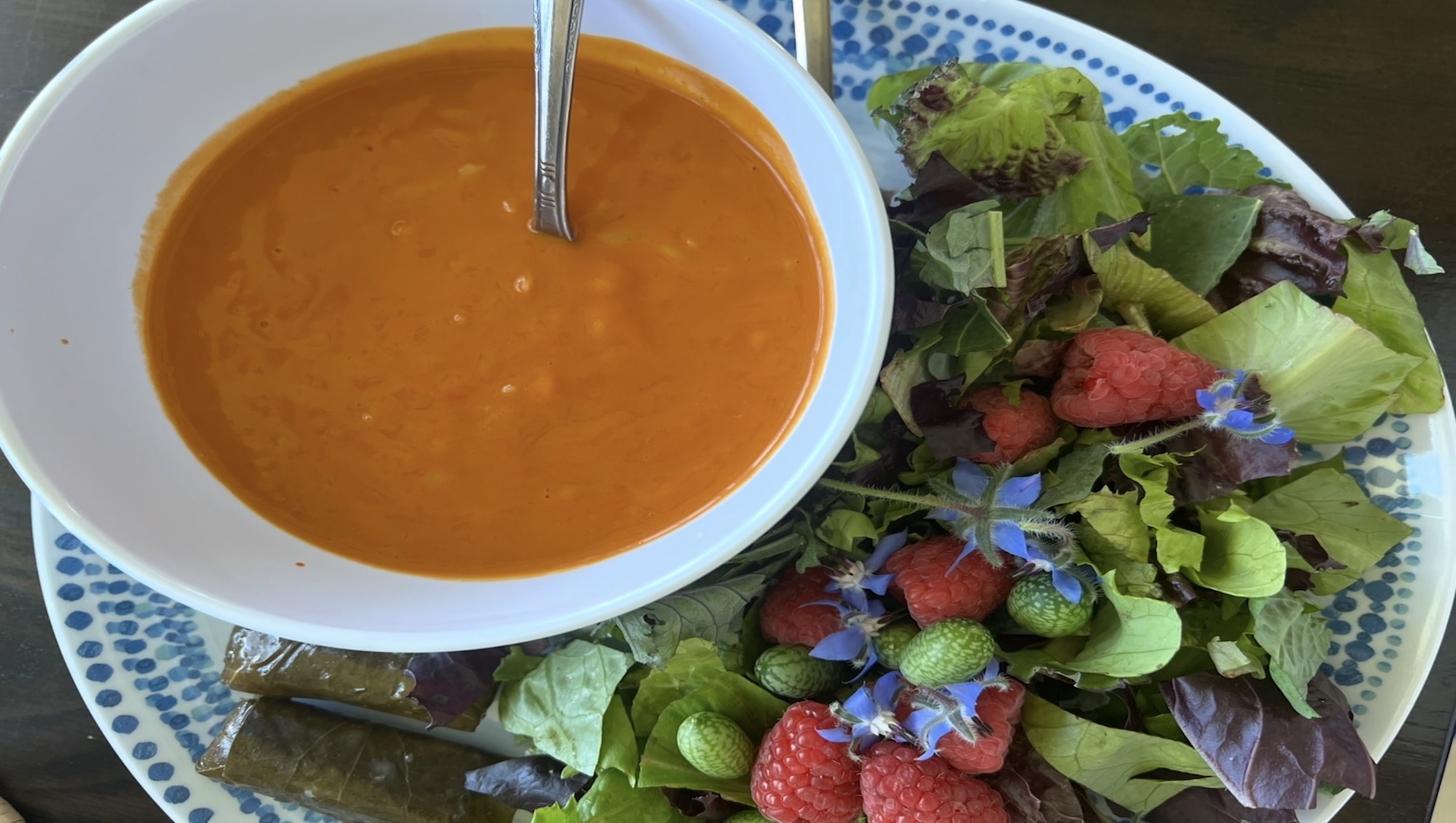 Bowl of vegetable soup on a plate of fresh salad greens from the garden.