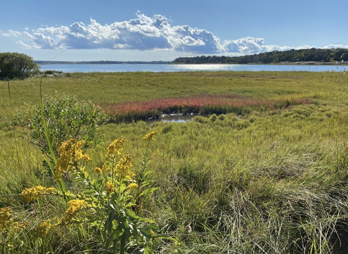 Blue sky and clouds in September at the marshes of Eastham, Cape Cod.