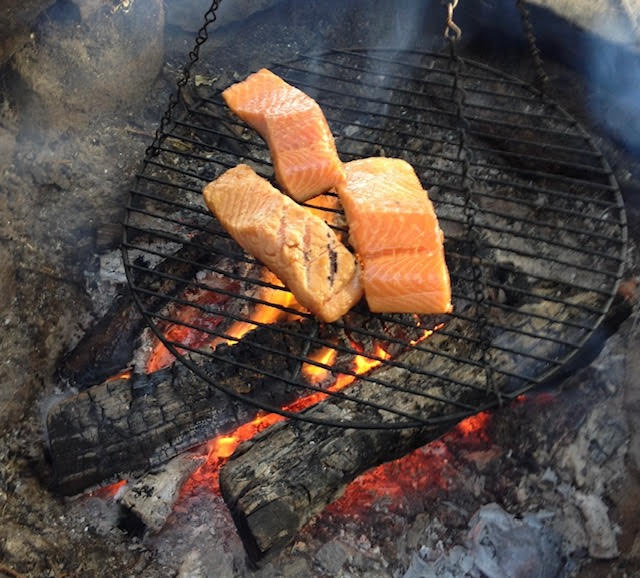 salmon on an outdoor grill