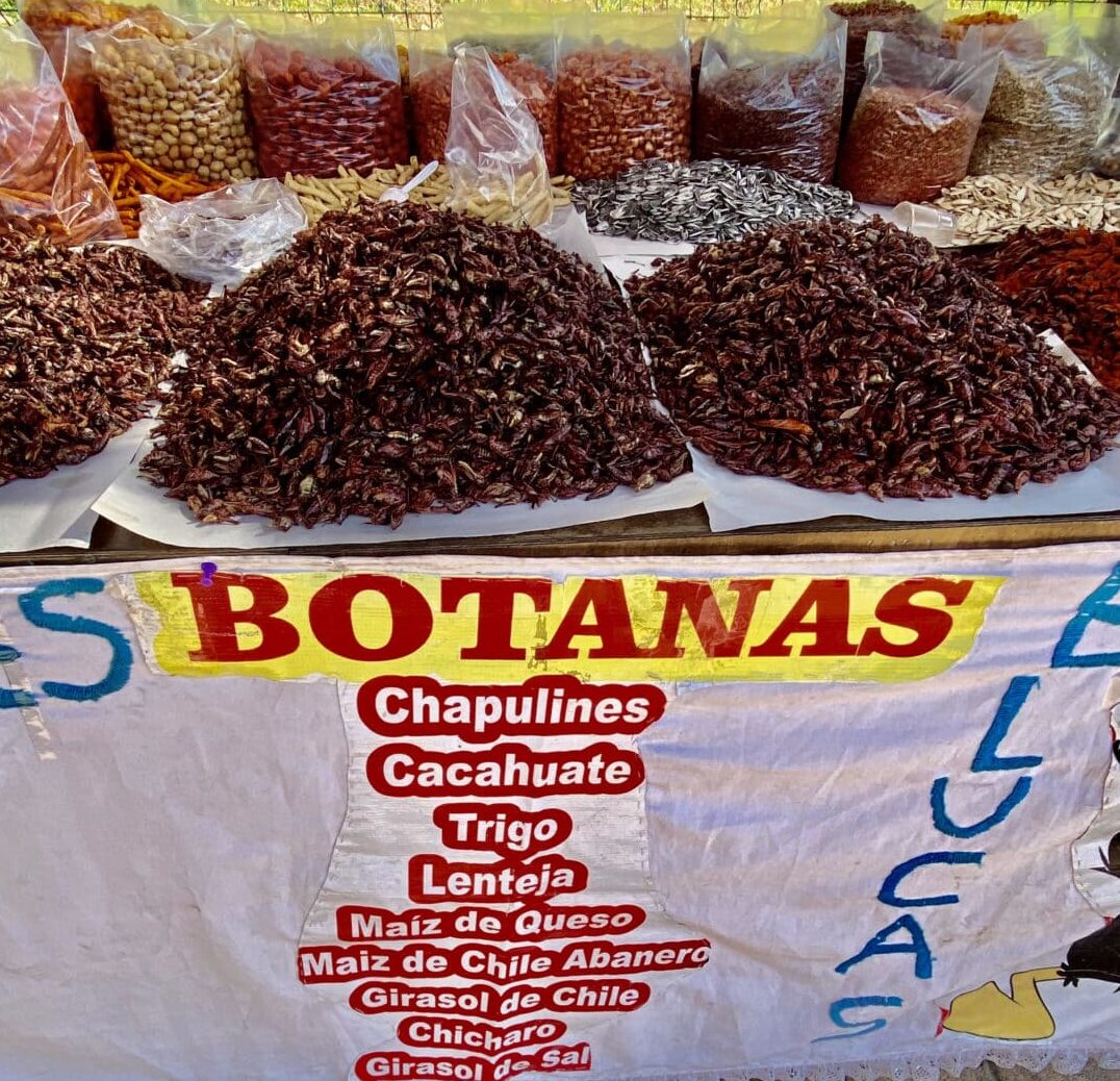 Chapulines in a Mexican market stall