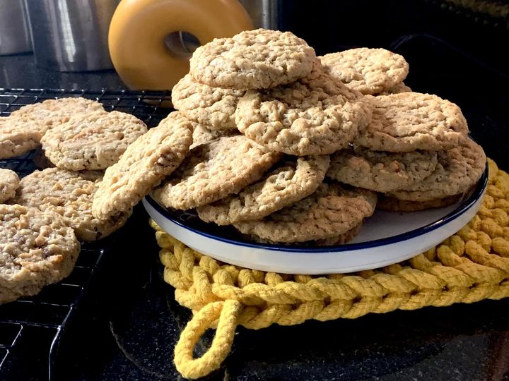 Oatmeal cookies on a white plate on a yellow potholder.
