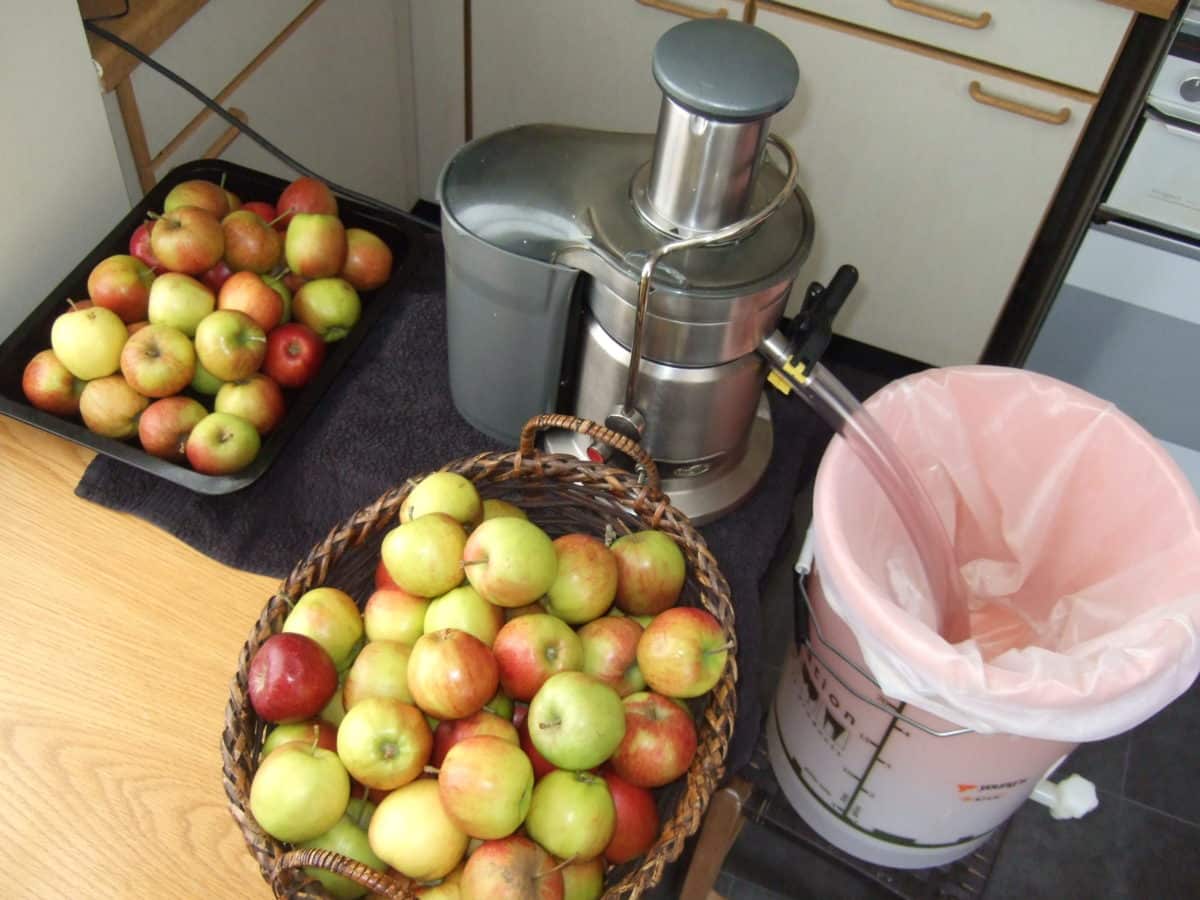 Apple cider juicing and straining setup, photo credit: Helen Stewart