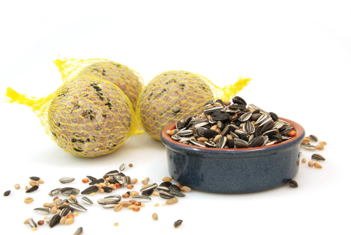 Assorted bird seeds in a bowl and yellow suet cakes on the side.