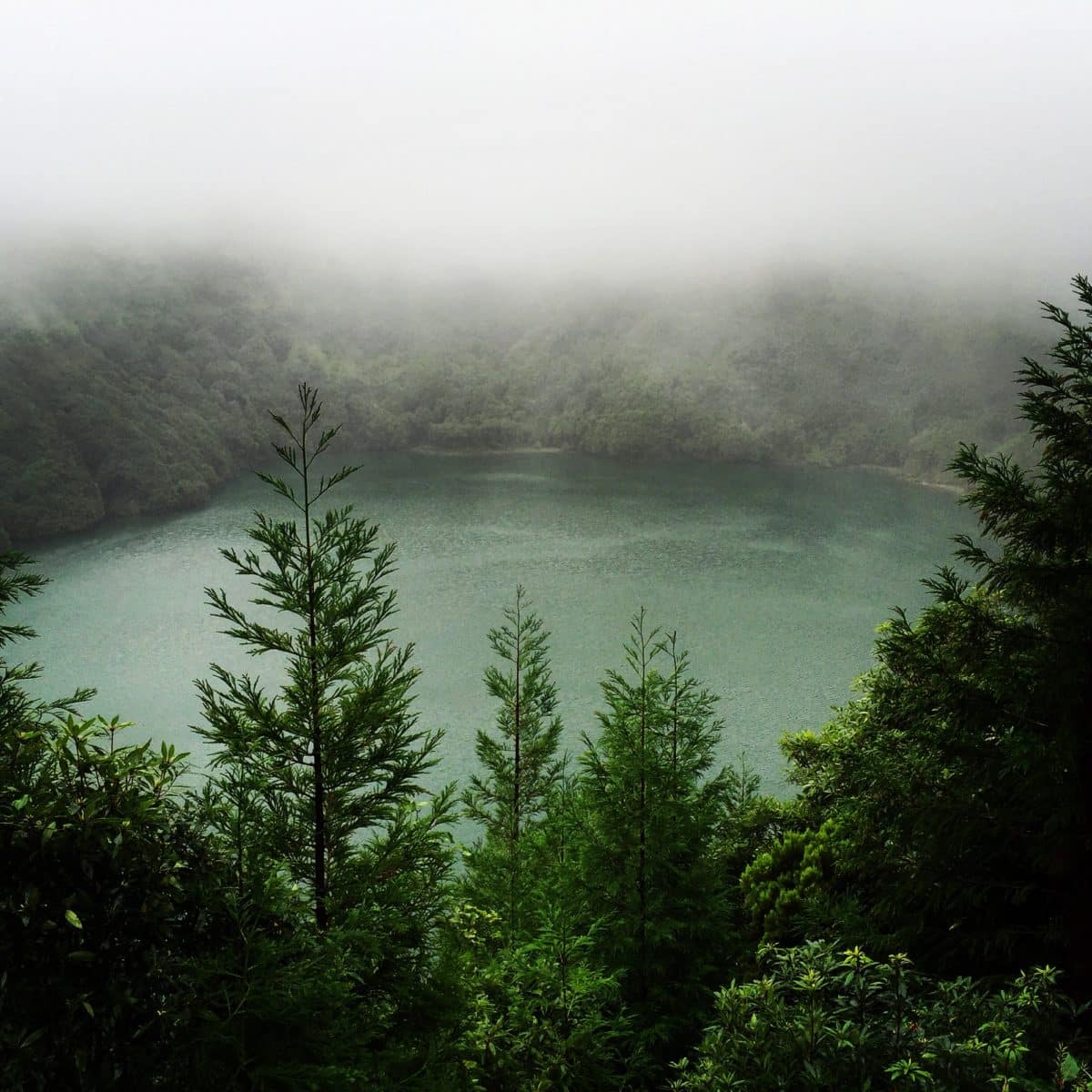Aerial view of a lush green caldera in the Azores