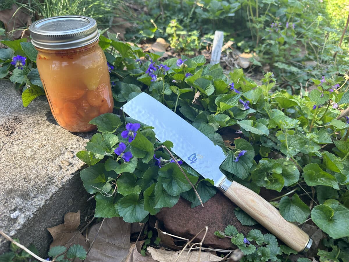 jar of pickled carrots with a Shun Nakiri Knife