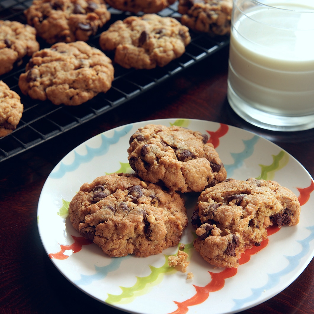 Freshly baked chocolate chip cookies on a cooling rack with a glass of milk
