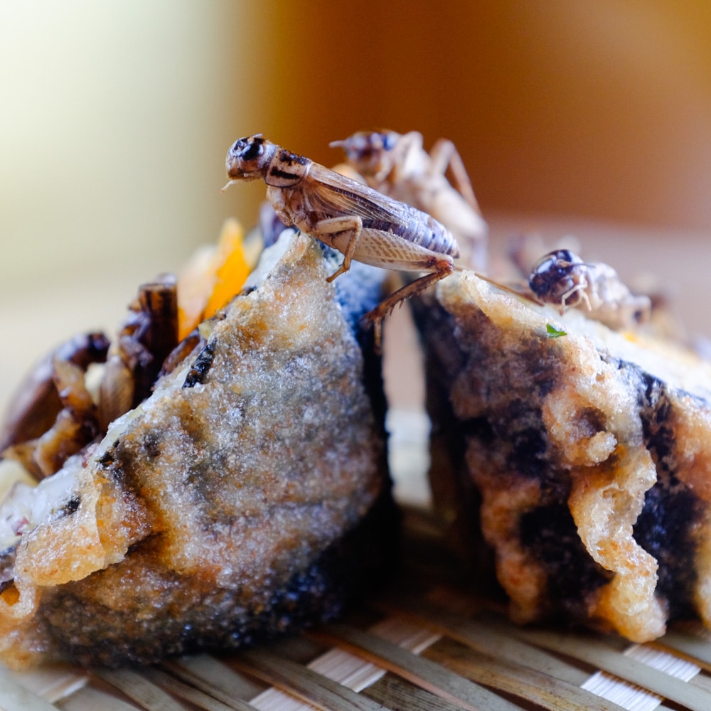 cricket sushi from Miya's Restaurant in New Haven Ct, USA