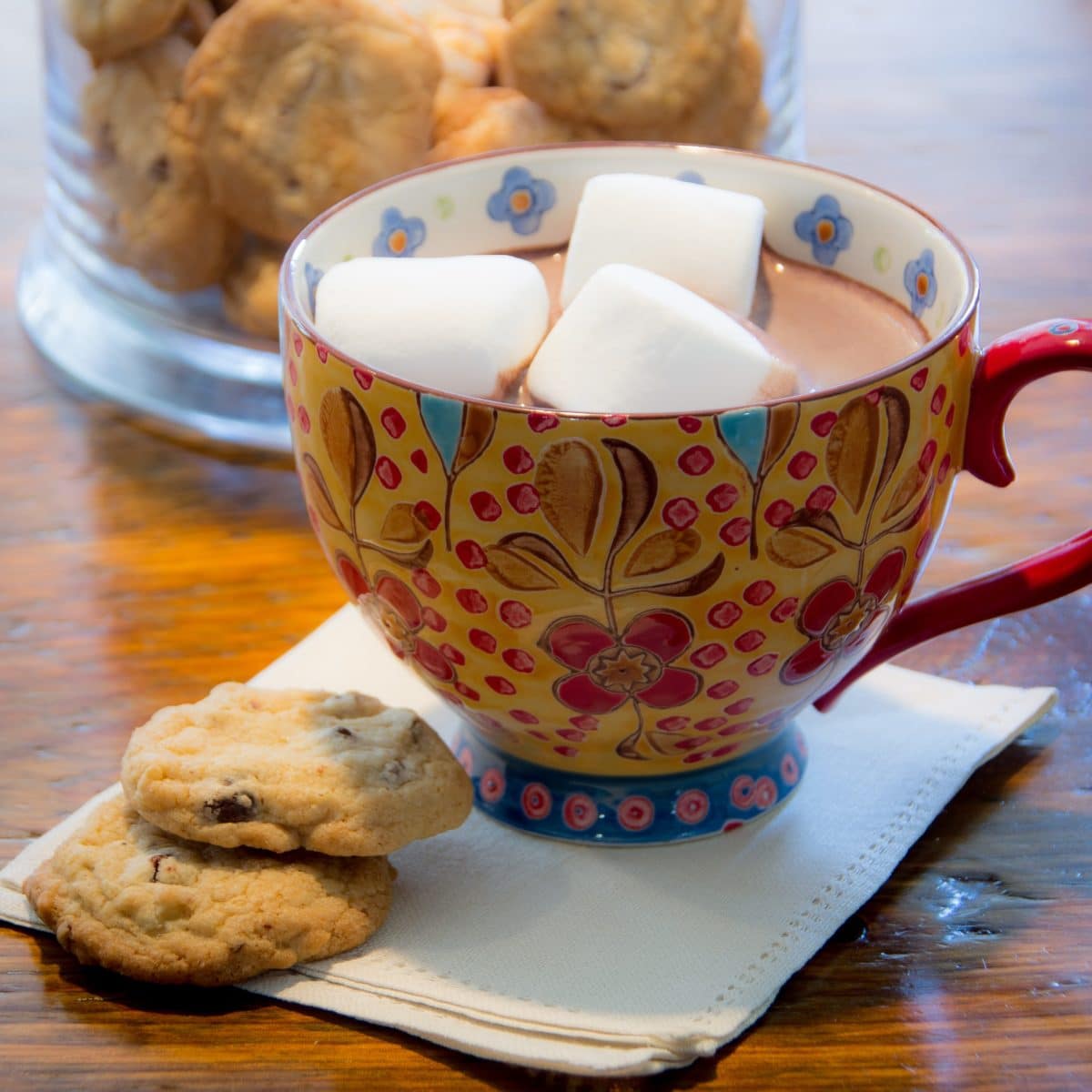 Cup of homemade hot chocolate with marshmallows, accompanied by chocolate chip cookies.