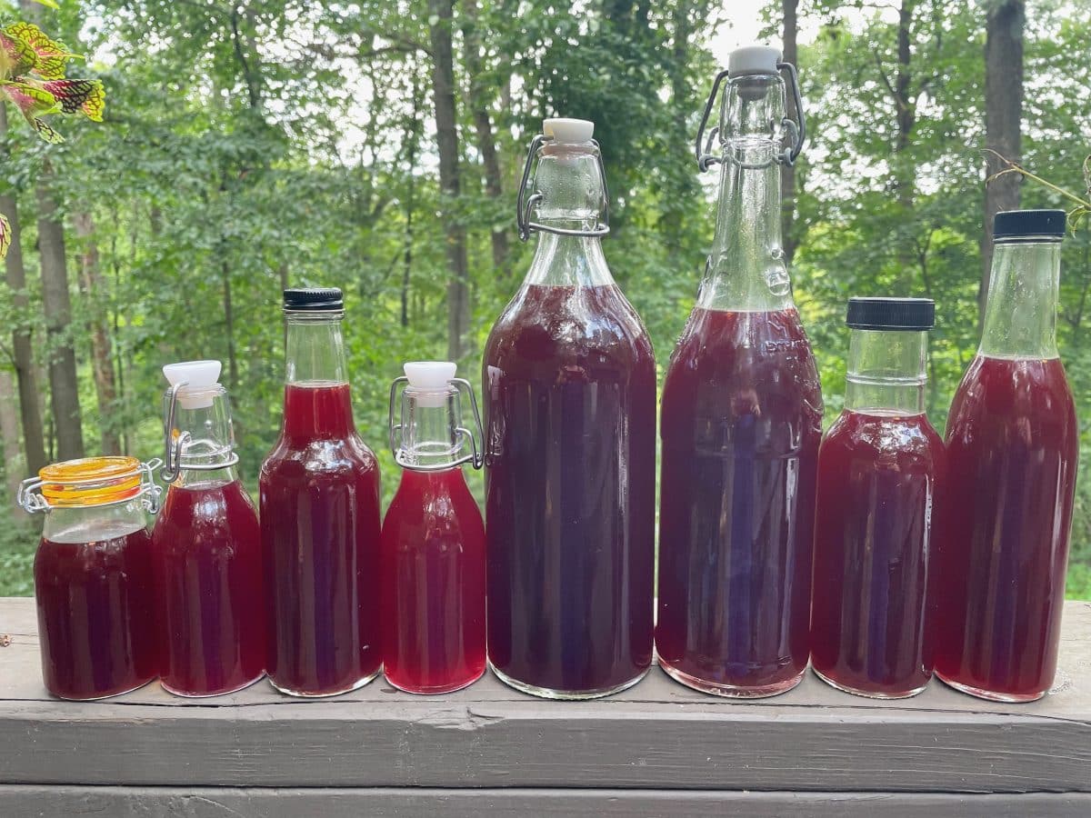 Bottles of homemade elderberry syrup on a wooden ledge.
