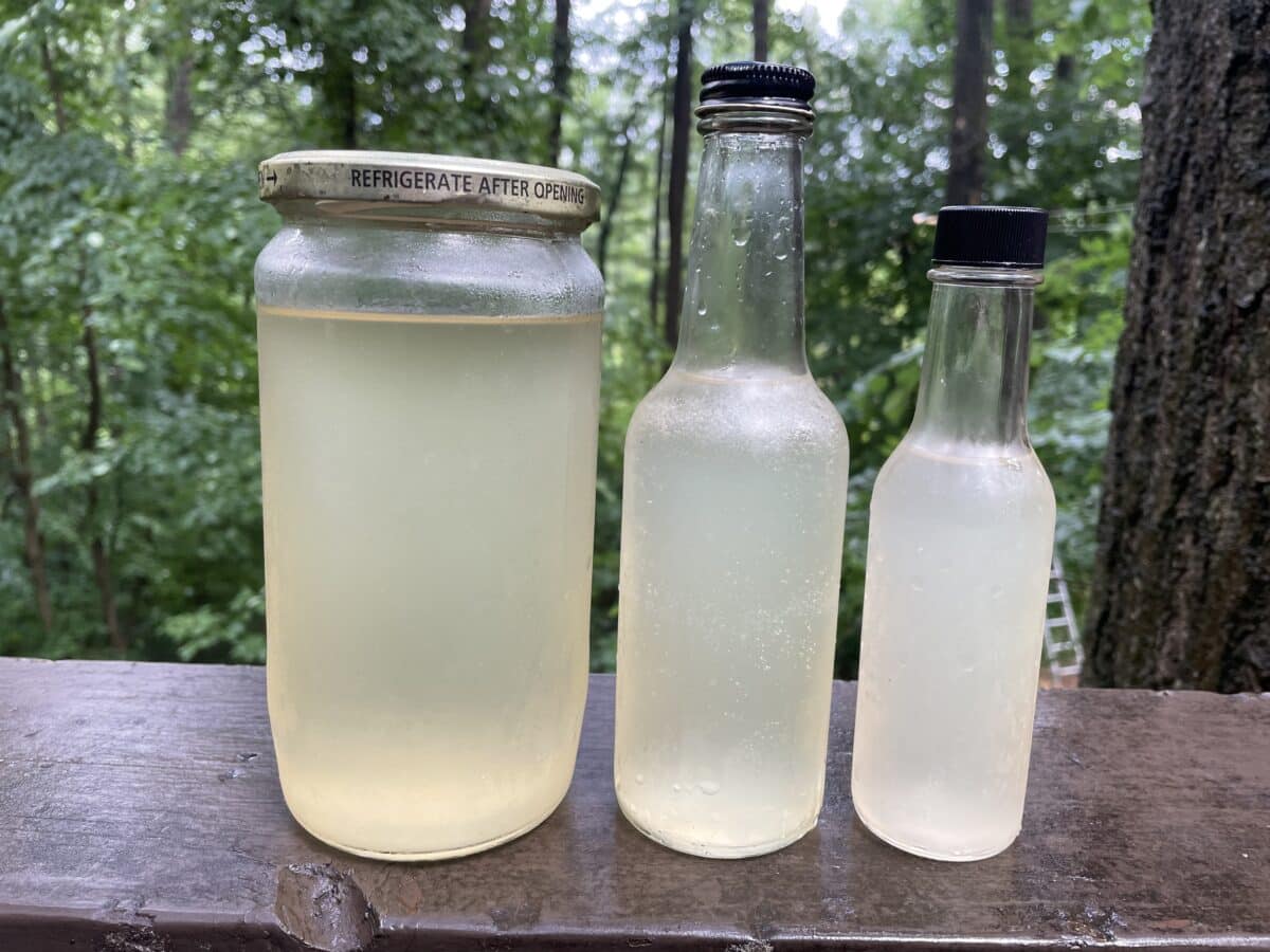 Three bottles of homemade elderflower syrup