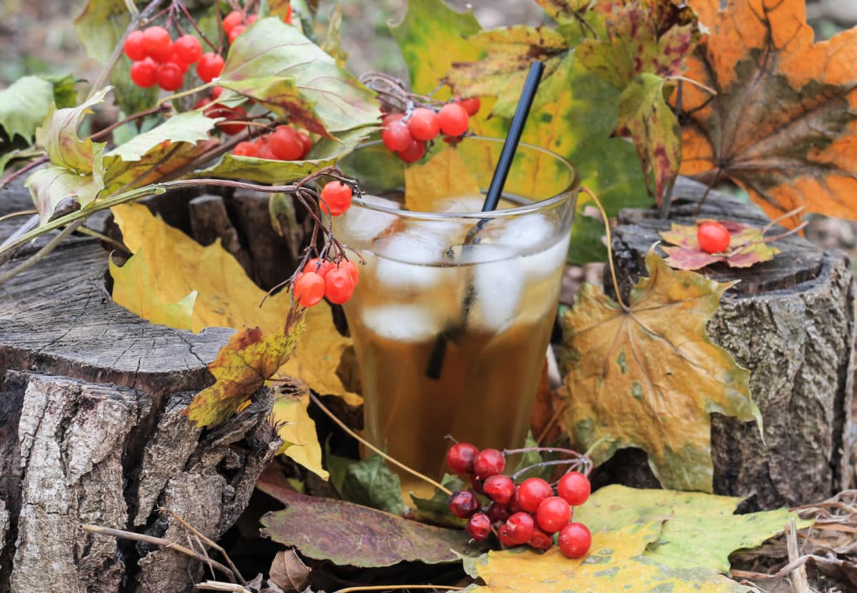 Glass with ice, straw and drink, nestled in leaves and wood