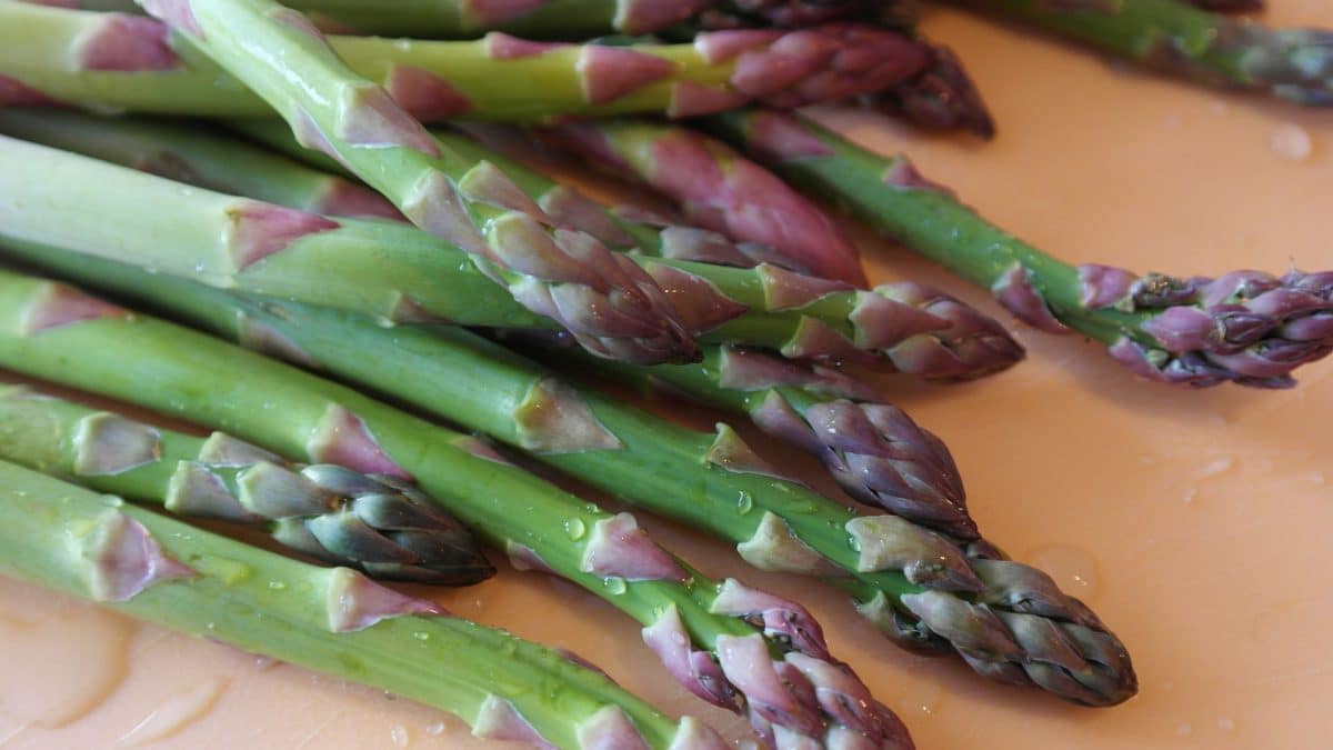 Close-up view of fresh asparagus spears with purple tips on a table.