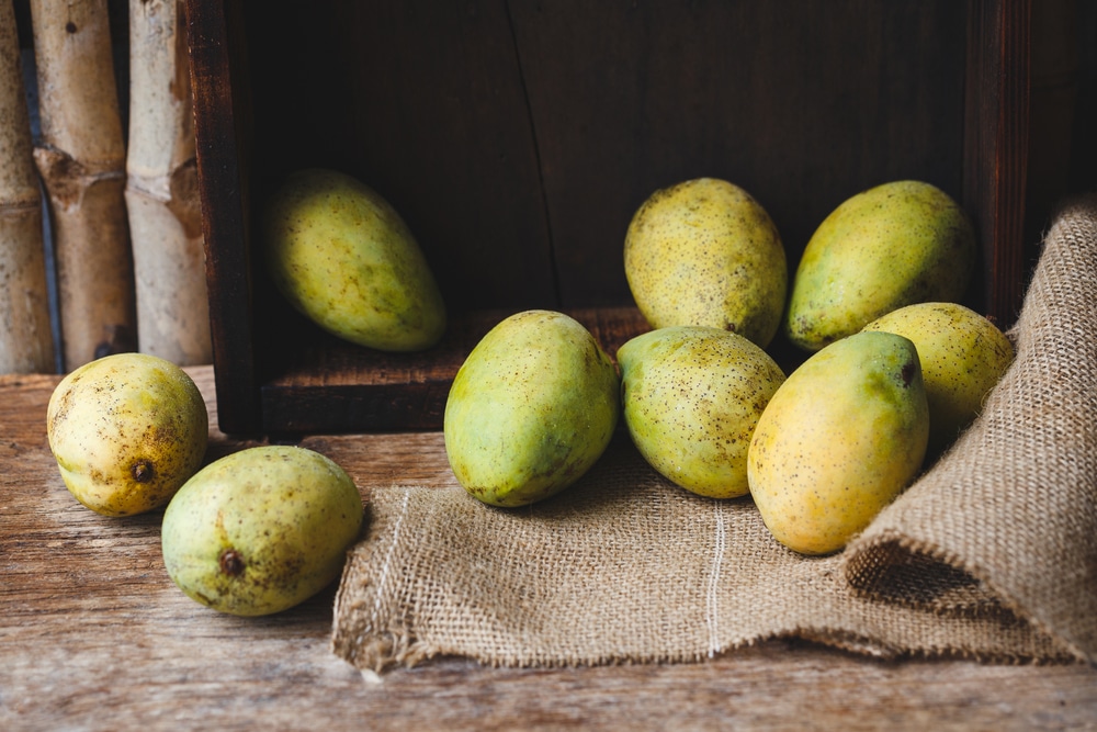 Group of fresh green mangoes on a rustic background