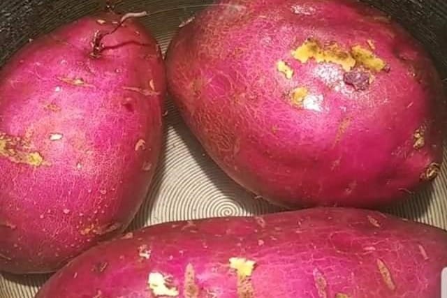 A close-up view of fresh Japanese sweet potatoes.