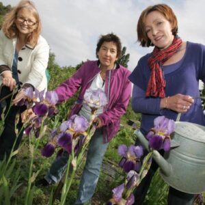 Karen Liebreich, Jutta Wagner, and Annette Wendland