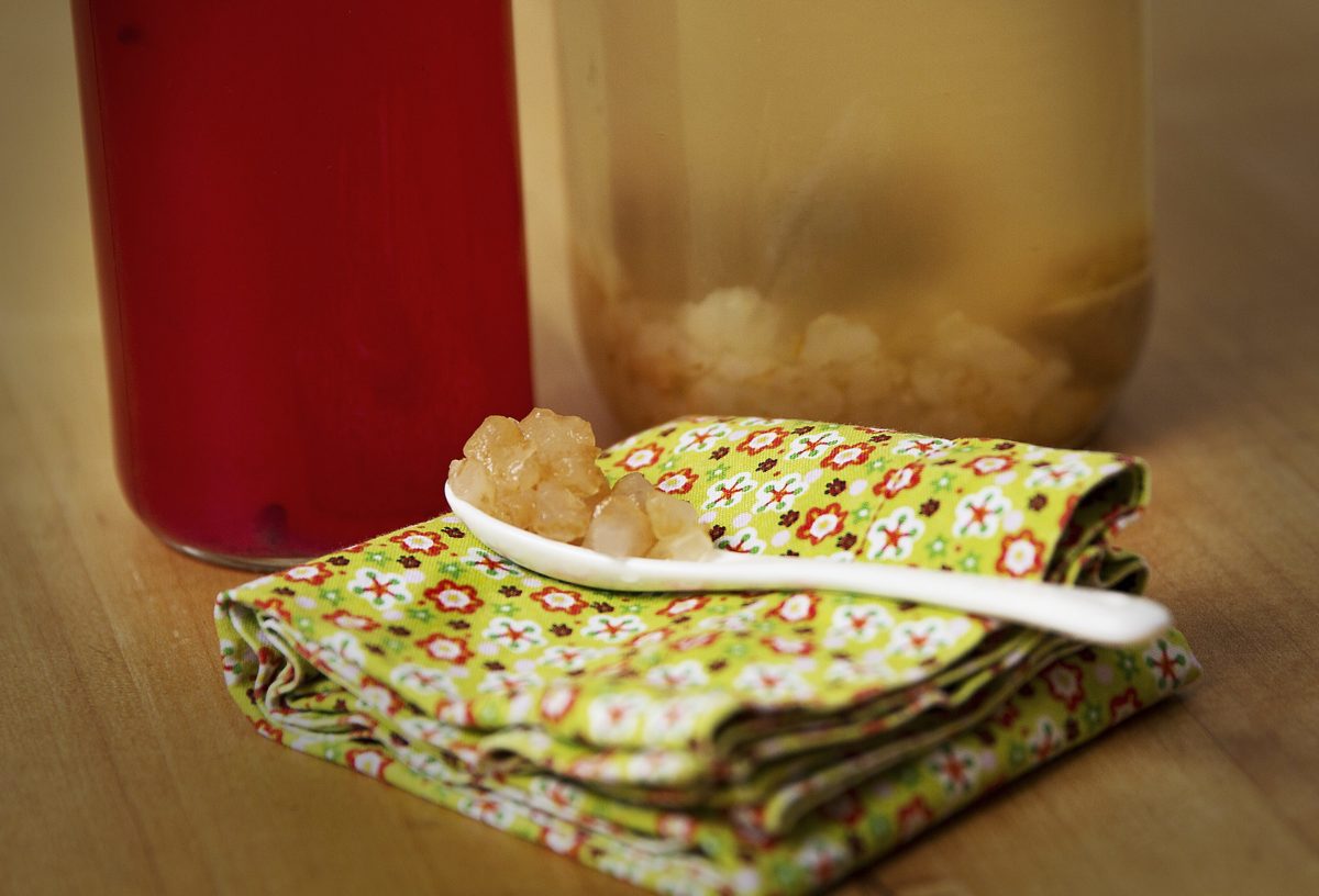 Kefir water grains placed on a colorful decorative napkin