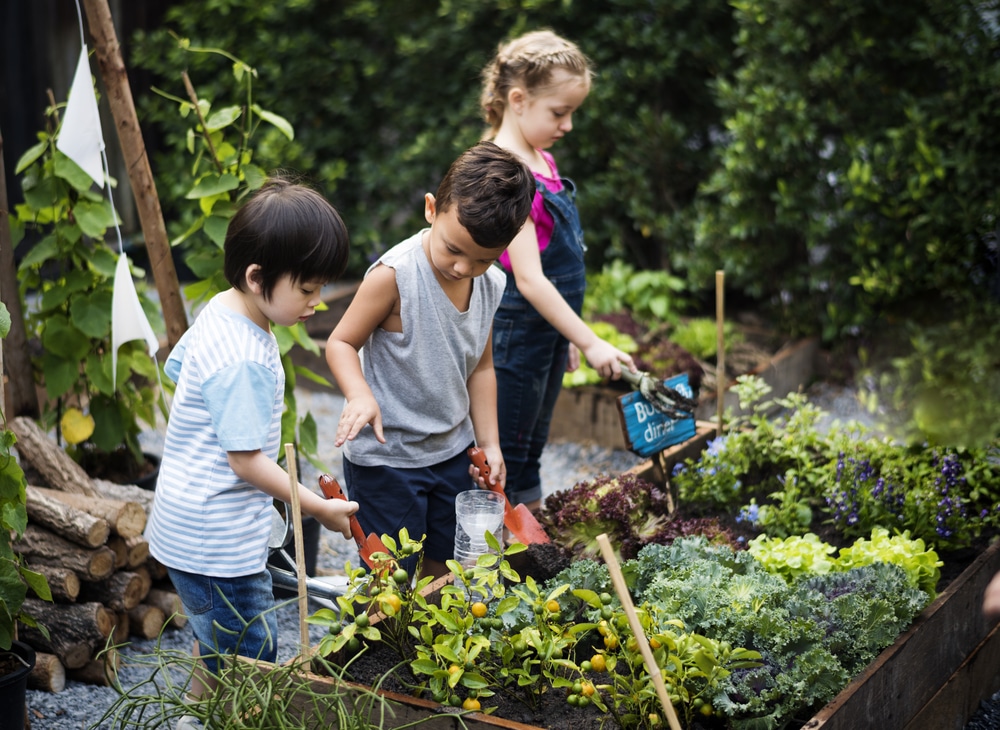 Group of kids gardening outdoors