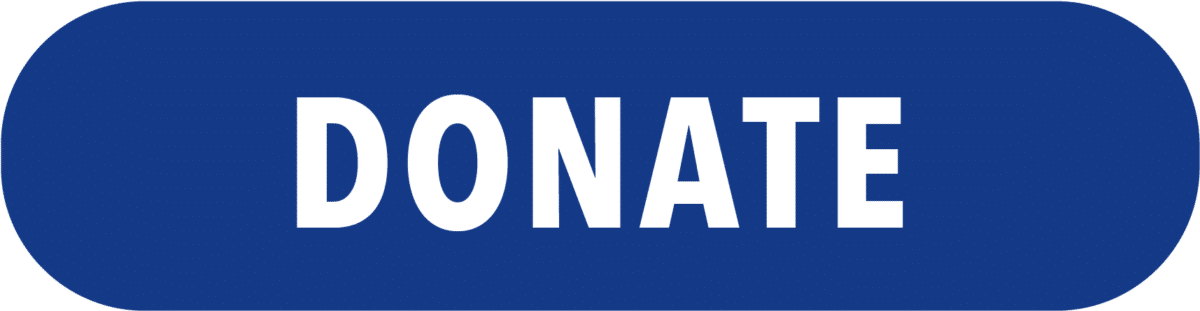 Donate LDNY Scholarship