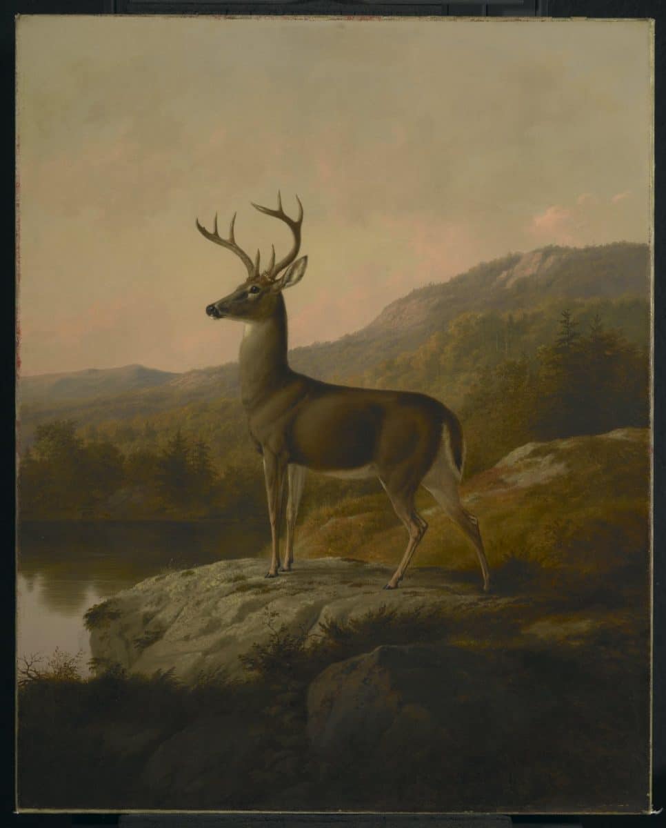 Painting of a majestic deer standing on a rock overlooking a scenic landscape