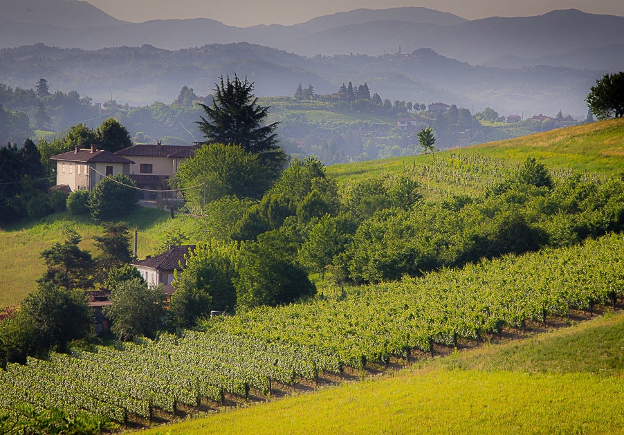 A serene morning view of Piemonte with mist-covered hills and a farmhouse.
