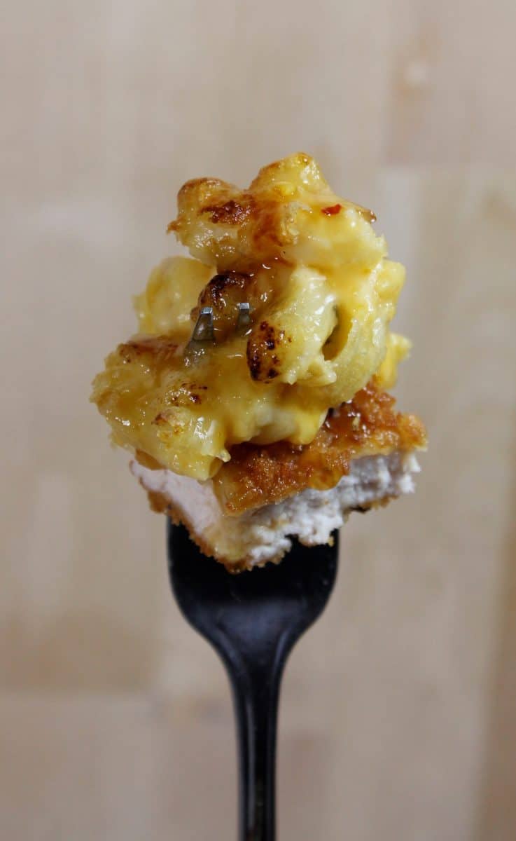 Delicious mac 'n cheese serving on a fork