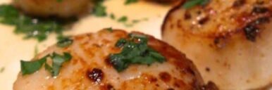 Golden brown pan-seared scallops garnished with herbs.