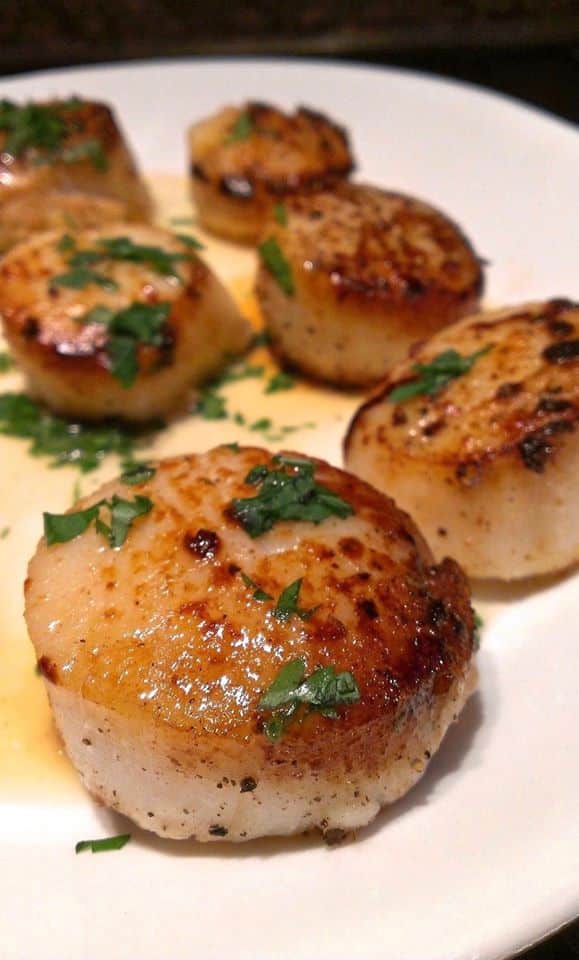 Golden brown pan-seared scallops garnished with herbs.