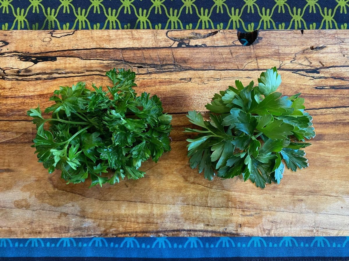 Fresh parsley bunches laid on a wooden surface