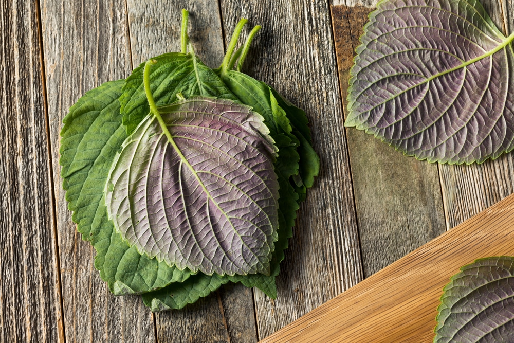 perilla, or shiso leaves, on a wooden cutting board