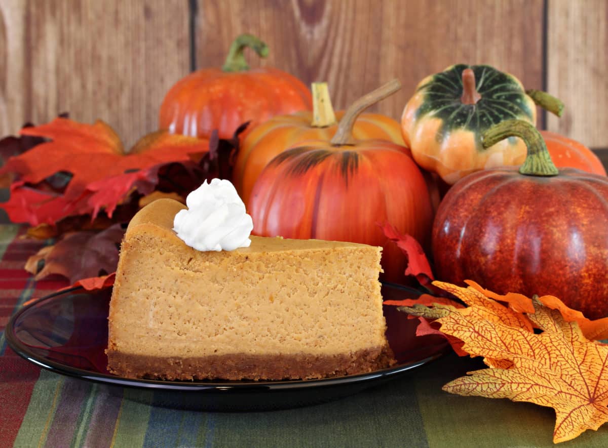 A slice of pumpkin spice cheesecake with ginger cookie crust topped with whipped cream.