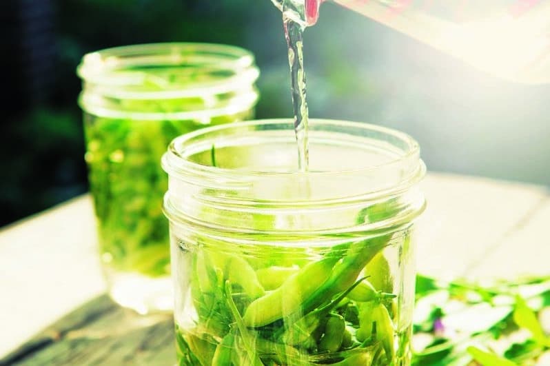 Glass jars with blue liquid and herbs being poured into one.