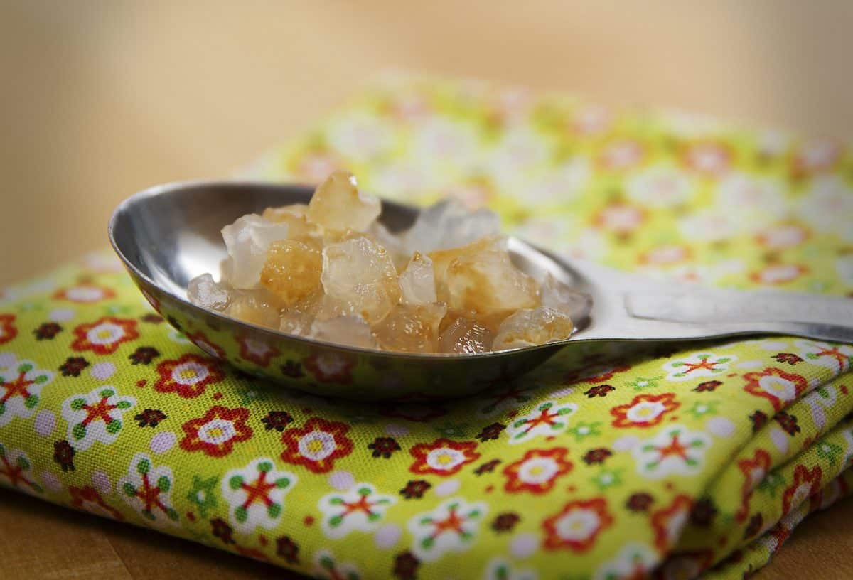 A spoonful of water kefir grains resting on a colorful cloth.