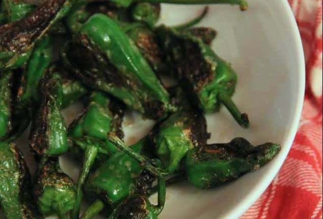 Close-up of scorched Padrón peppers in a white bowl.