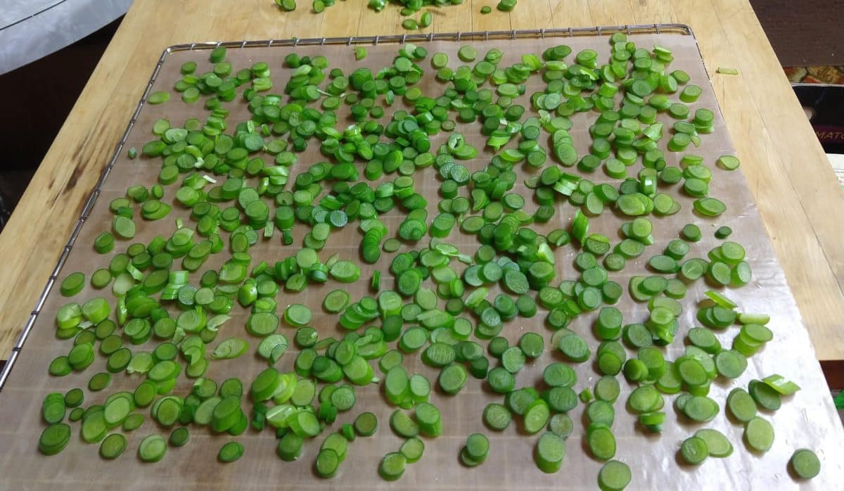 Garlic Scapes