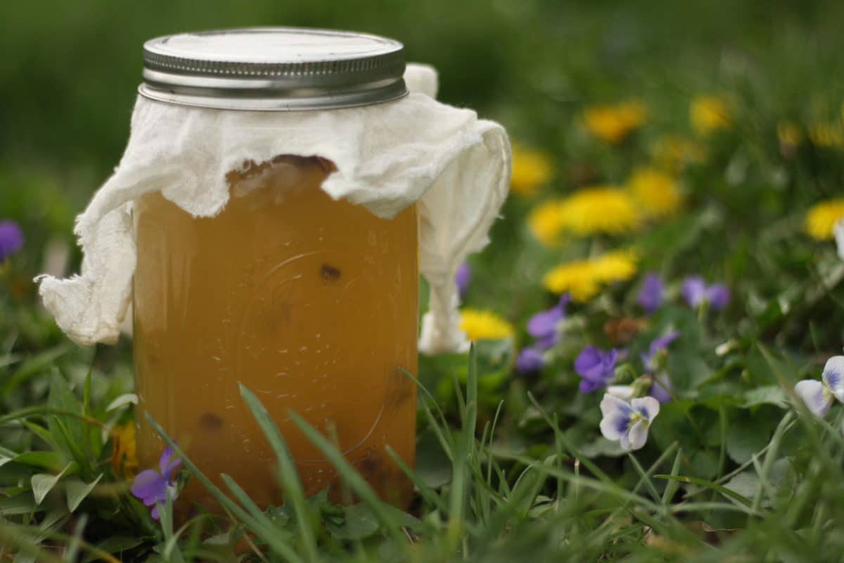 Landscape view of a mead starter made from spring wildflowers in a jar, placed amidst a field of vibrant spring flowers.
