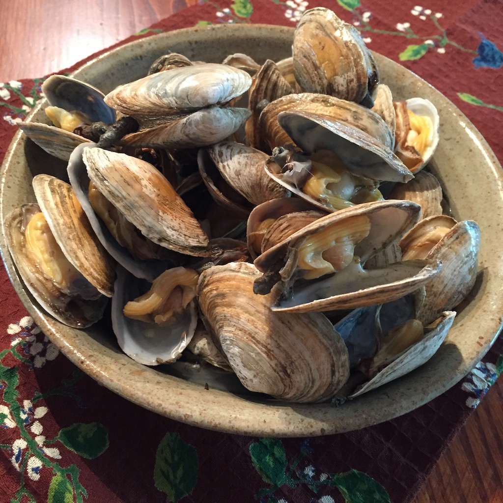 Bowl of freshly steamed soft-shelled clams opened to reveal the meat inside.
