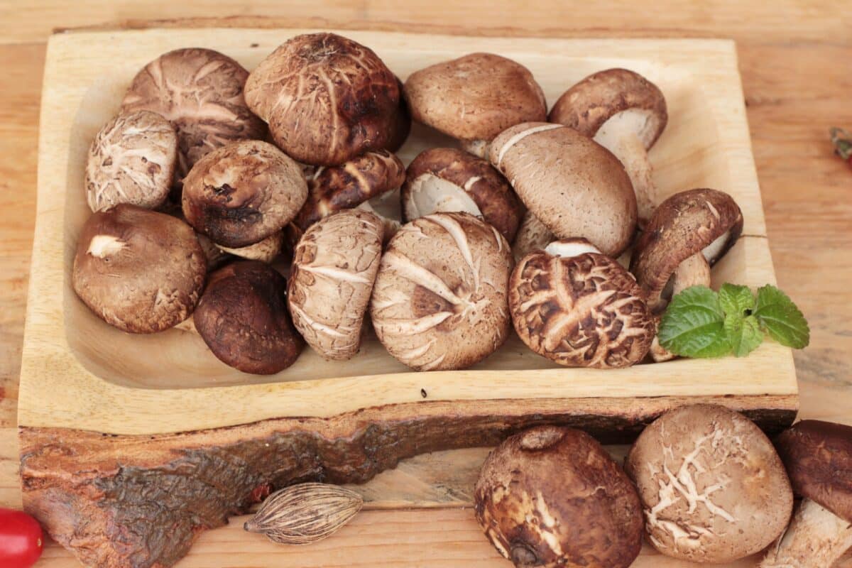 shiitake mushrooms on wooden board