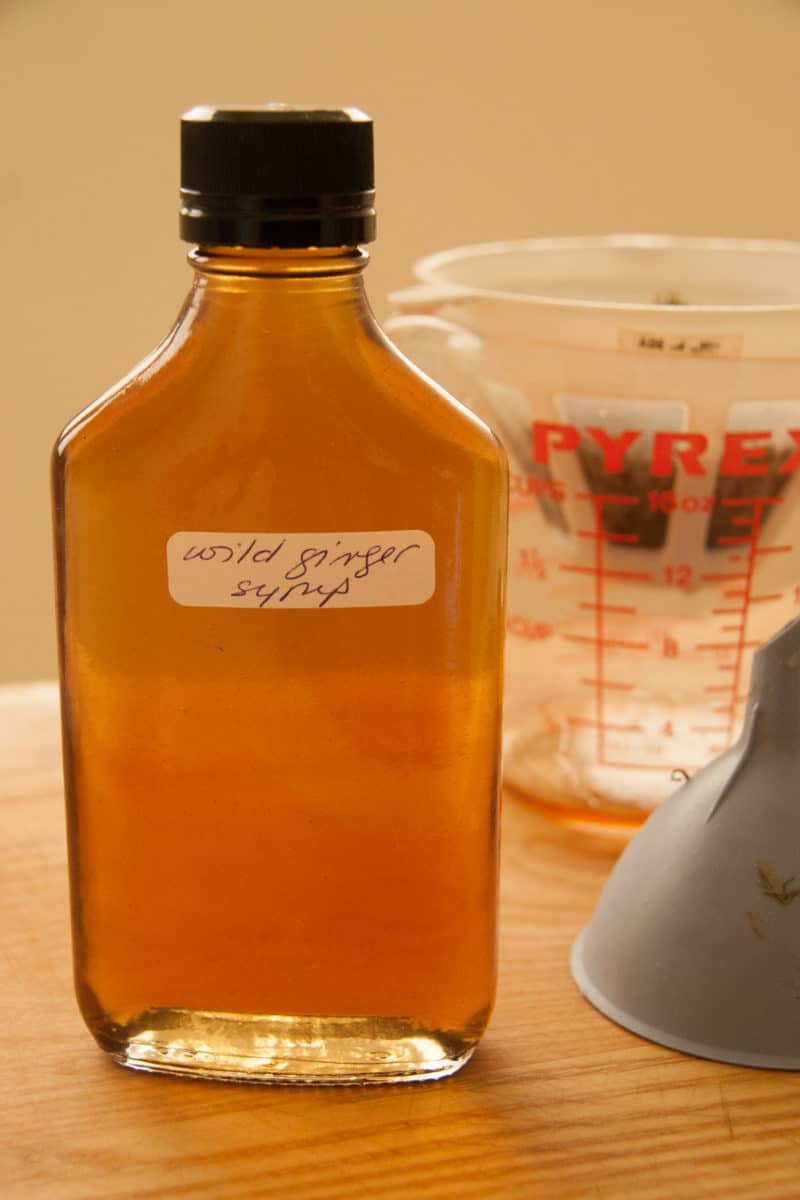 Clear bottle of Wild Ginger Syrup.